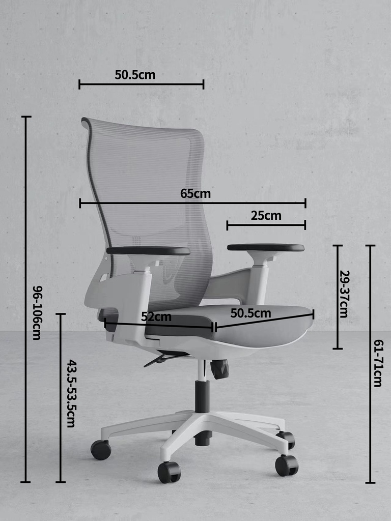 Office Chair B3909-1