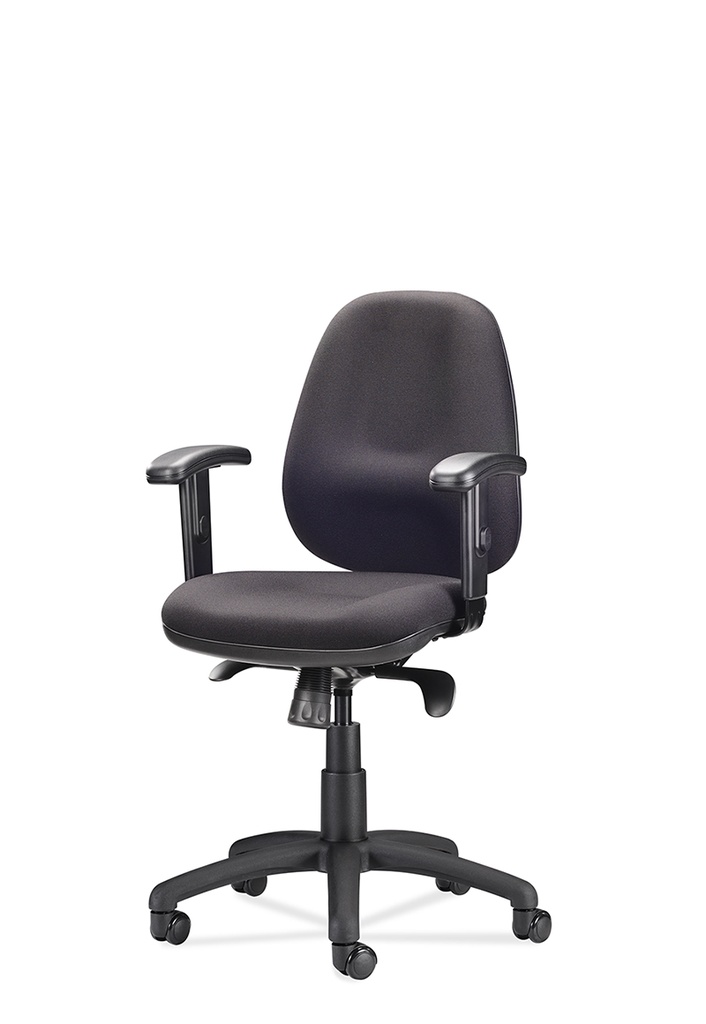 EWE-ErgoMaster Premium swivel chair
