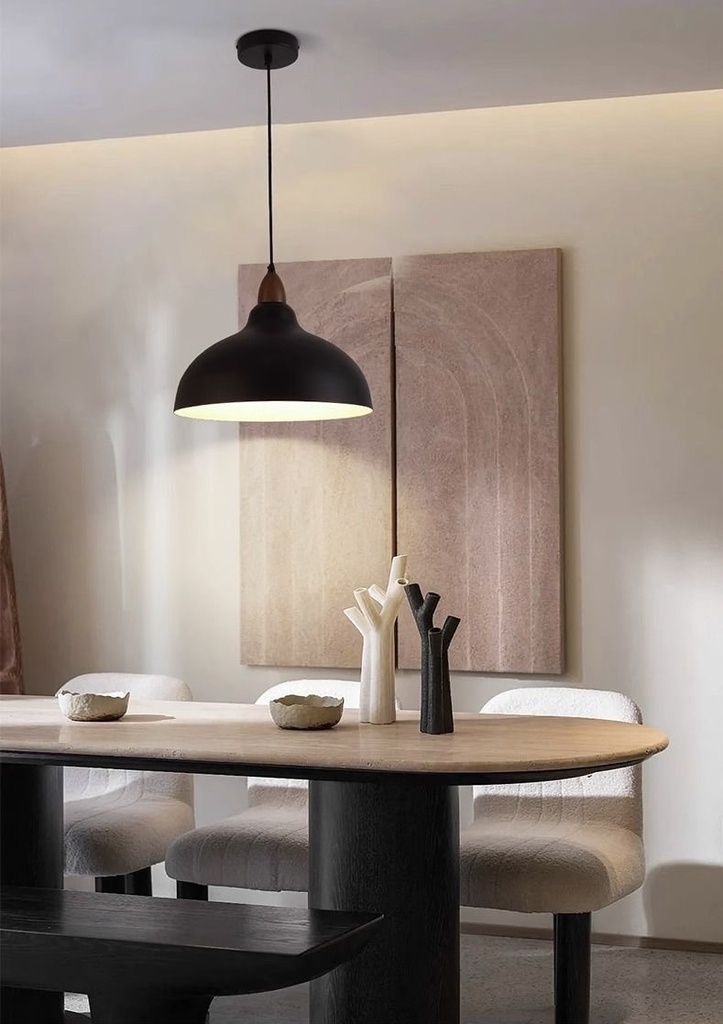 Contemporary Pendant Light