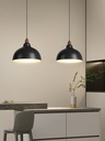 Contemporary Pendant Light