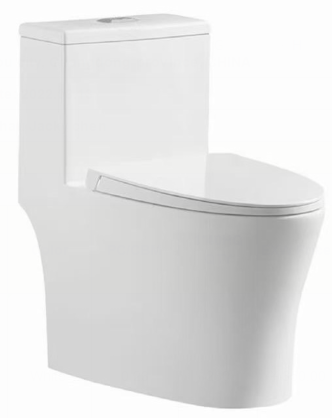 Washdown One piece toilet 8609