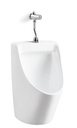 Wall-mounted Urinal