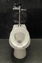Floor-mounted flush-valve toilet